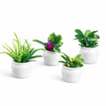 Set of 4 Mini Plants
